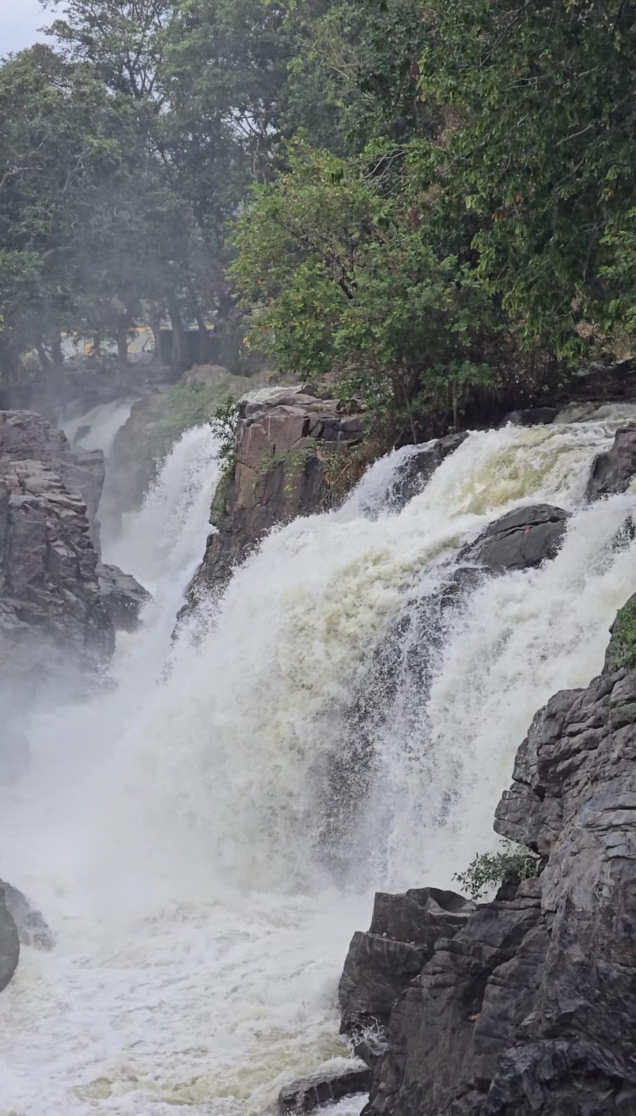ಧುಮ್ಮಿಕ್ಕಿ ಹರಿಯುತ್ತಿರುವ ಹೊಗೆನಕಲ್ ಫಾಲ್ಸ್